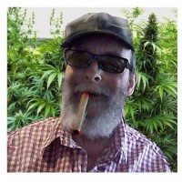 /album/bildgalleri-bildgalleri/a11217170-10153620770969260-7511647465872513476-n-jpg/